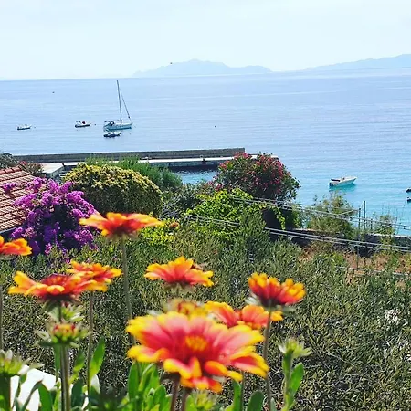 Pansion Braco Bed & Breakfast Zavala