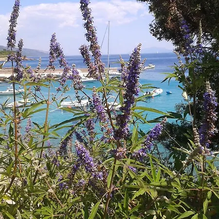 Bed & Breakfast Pansion Braco