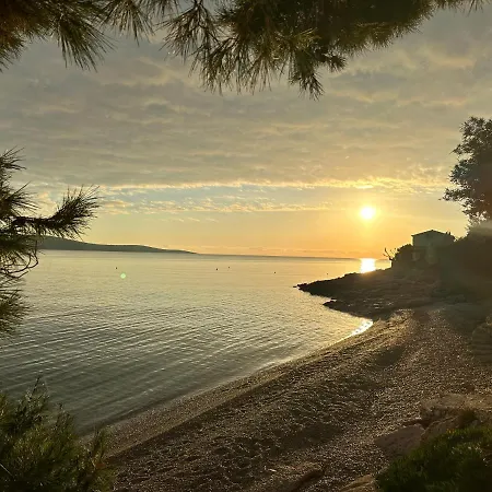 Oda ve Kahvaltı Pansion Braco Zavala