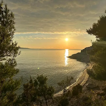 Oda ve Kahvaltı Pansion Braco