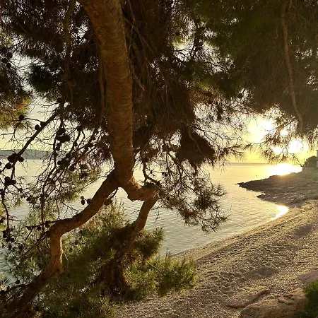 Bed & Breakfast Pansion Braco