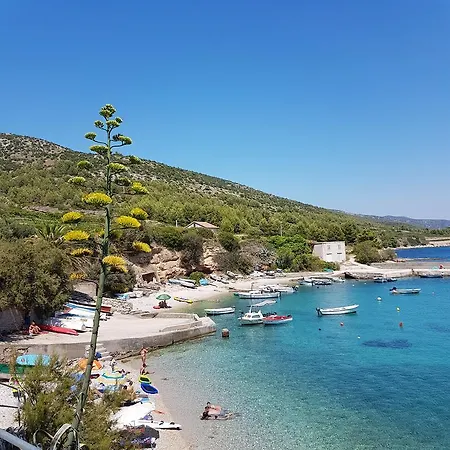 Bed & Breakfast Pansion Braco