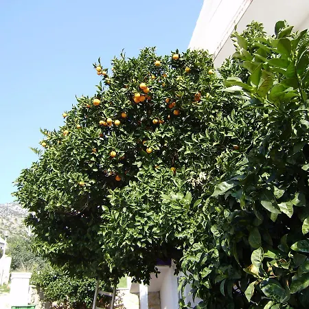 Pansion Braco Bed and Breakfast
