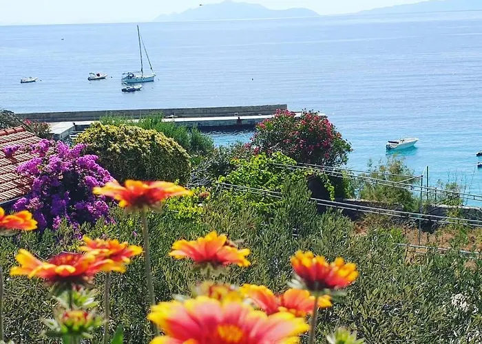 Pansion Braco Bed and Breakfast Zavala