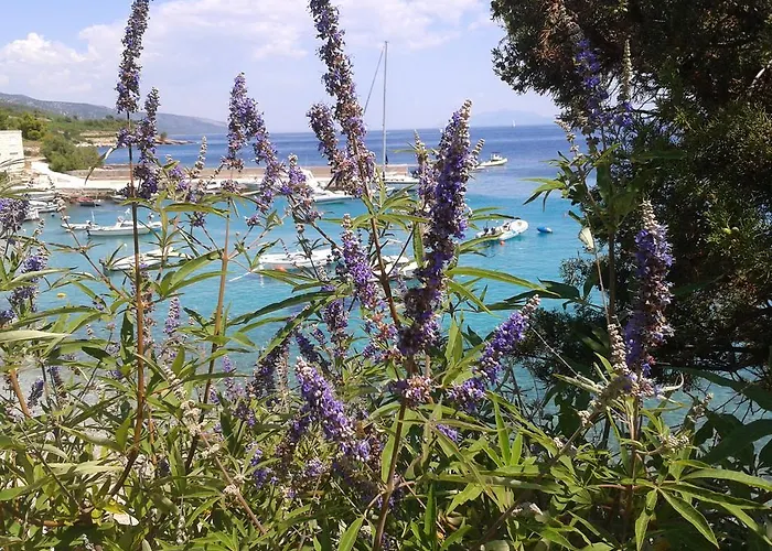 Bed and Breakfast Pansion Braco