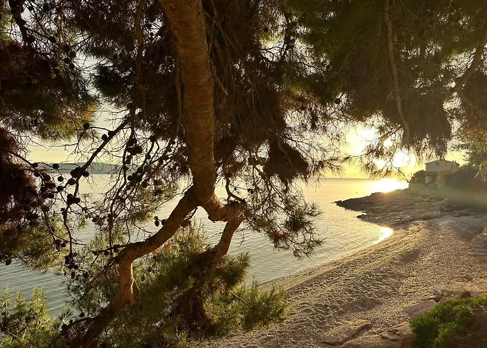 Bed and Breakfast Pansion Braco