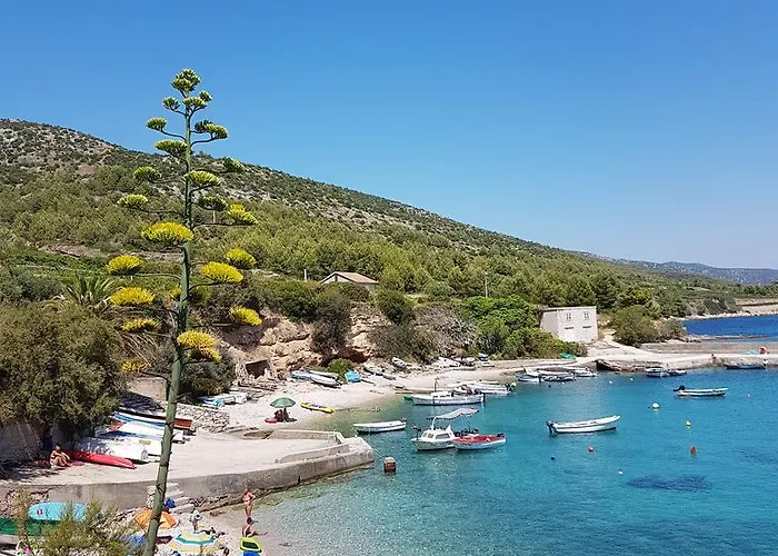 Bed and Breakfast Pansion Braco